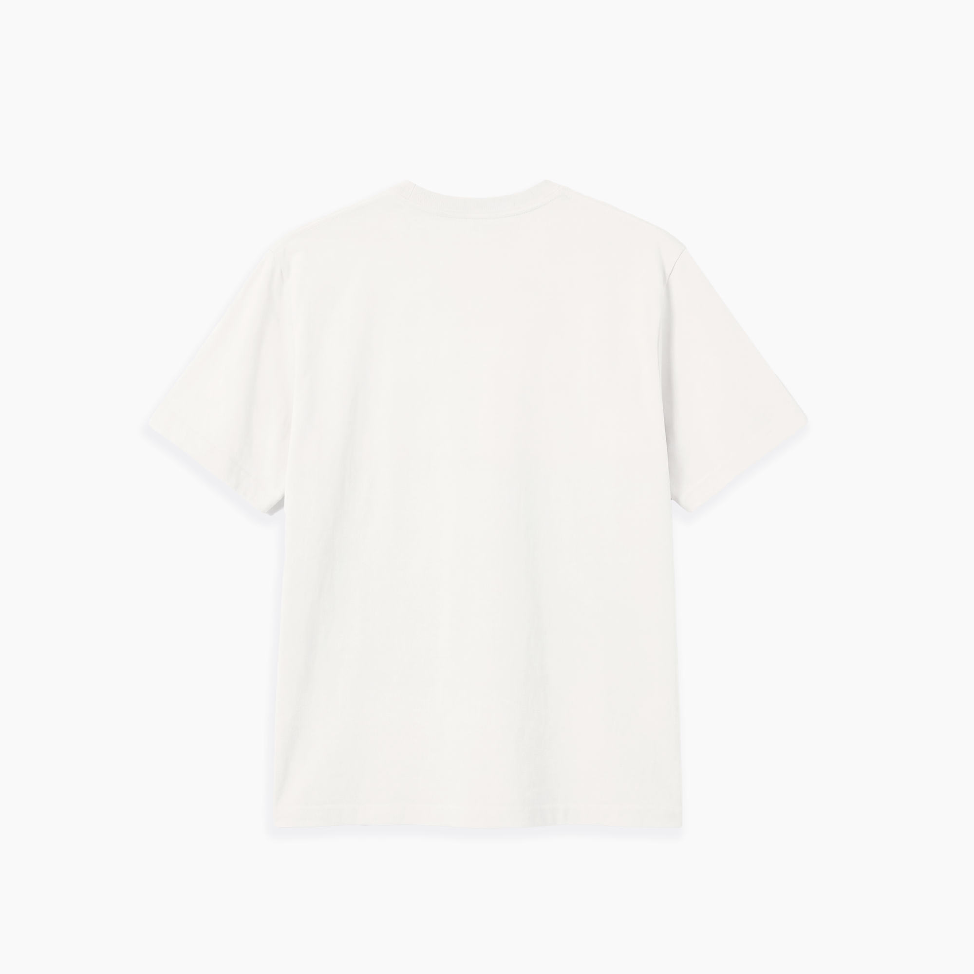 Koszulka Męska Mistrz Polski Legia Kosz