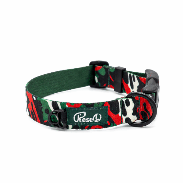 Obroża dla psa Piese(L) kolorowa